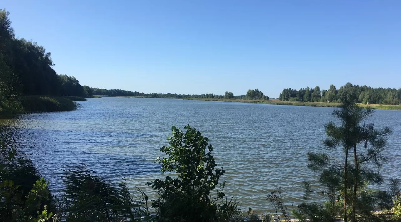 Плесо ставка у Вертокиївці в сонячний день