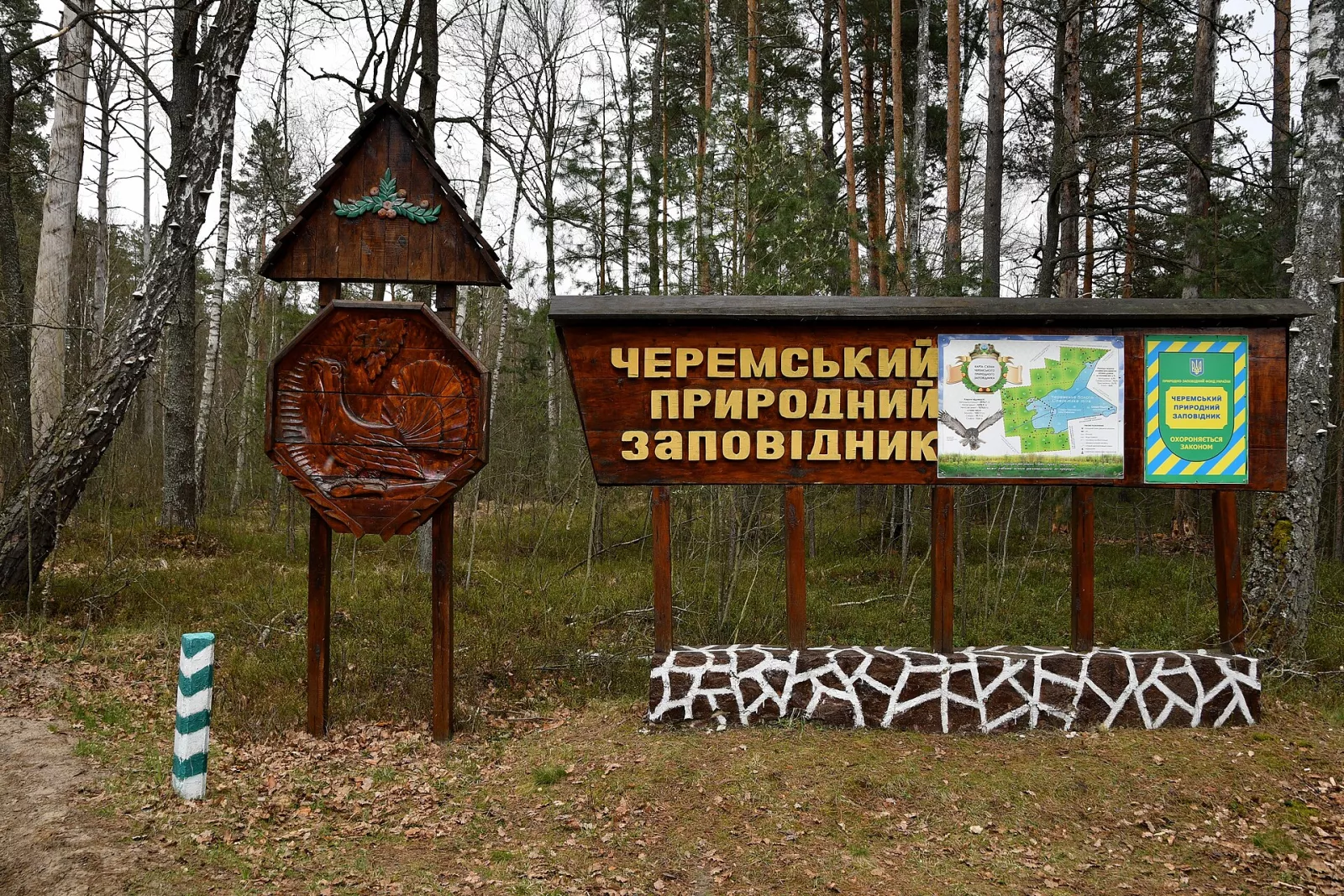 Дерев’яна стежка через болото в Черемському заповіднику