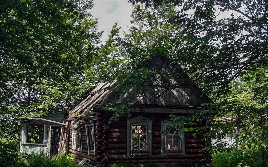 Зниклі села Житомирщини: чому десятки сіл щезли з мапи