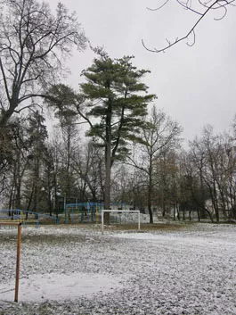 Парк