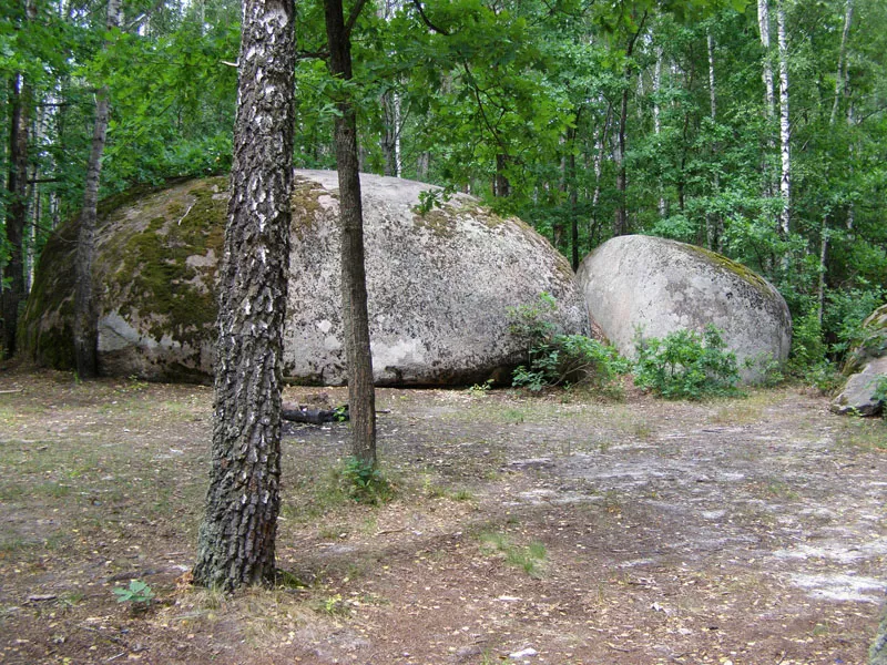 Камінне село: загадковий геологічний заказник Полісся, український Стоунхендж