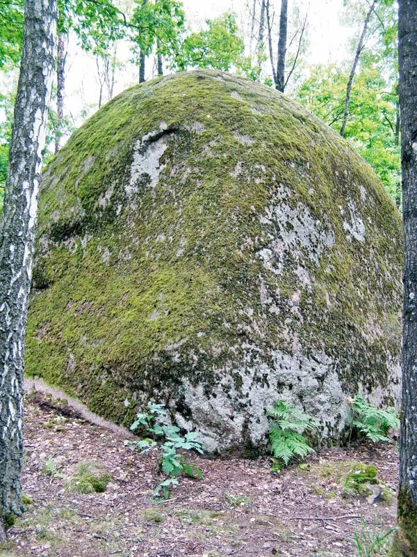 Камінне село: загадковий геологічний заказник Полісся, український Стоунхендж