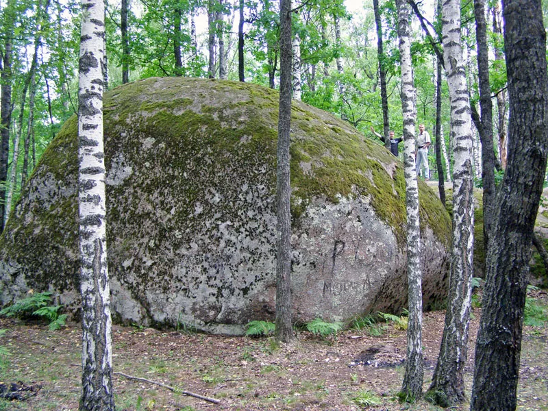 Камінне село: загадковий геологічний заказник Полісся, український Стоунхендж