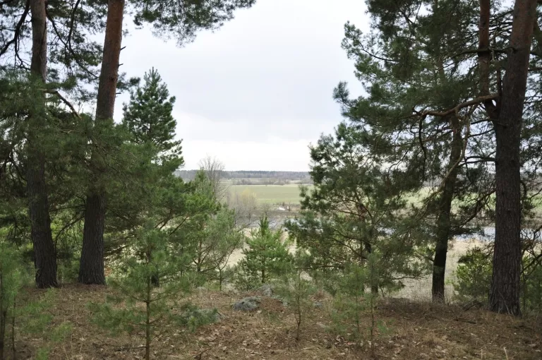 Таємниці стародавніх курганів у Ходурках: ятвяги та їхні скарби