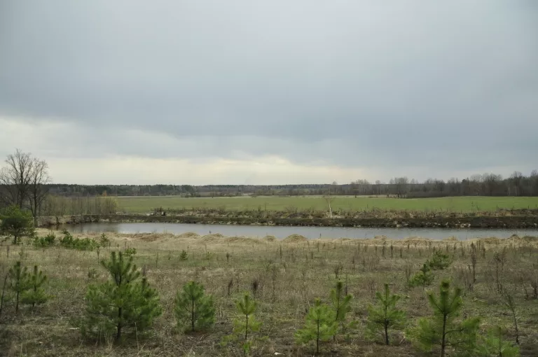 Таємниці стародавніх курганів у Ходурках: ятвяги та їхні скарби