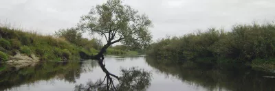 Риболовля на річці Прип’ять: детальний гід для рибалок