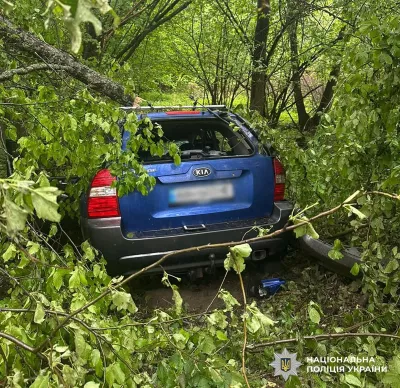 Смертельна ДТП на Малинщині: загинули двоє чоловіків