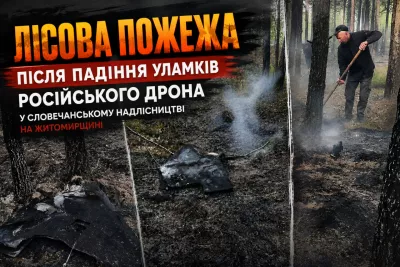 На Житомирщині після падіння уламків «Шахеда» загорівся ліс
