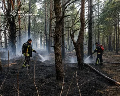 У заповіднику «Древлянський» на Житомирщині ліквідували пожежу після падіння уламків російського БПЛА