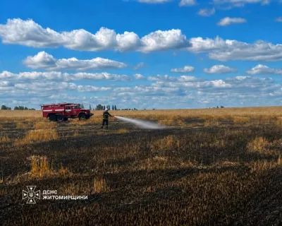 Російський удар знищив частину врожаю на Житомирщині: вигоріло пшеничне поле