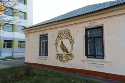 «Абетка Житомира»: як знайти всі літери на міських стінах