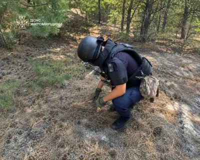Під Малином грибники натрапили на небезпечну знахідку часів Другої світової