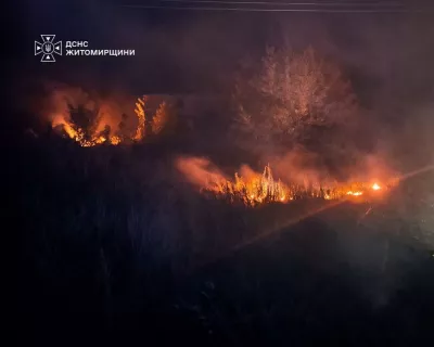 Горить Житомирщина: за добу вигоріло майже 10 гектарів, рятувальники ліквідували 11 пожеж