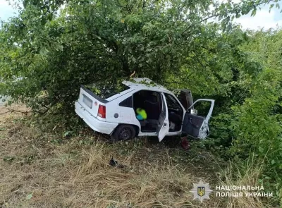 На Житомирщині Opel з’їхав у кювет і врізався в дерево: водійка загинула