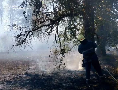 На Коростенщині 80-річний чоловік отримав опіки, намагаючись загасити пожежу стерні