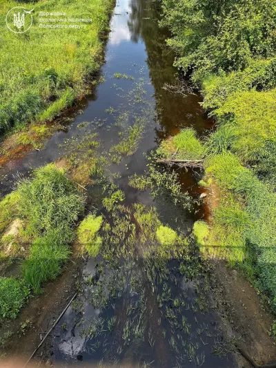 Річка Уборть на Житомирщині обміліла: екологи перевірили стан води та Лопатицьку ГЕС