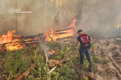 Пожежа у радіаційній зоні: на Коростенщині горять 59 га лісу