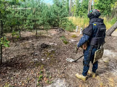 На Радомишльщині у лісі знайшли артилерійський снаряд часів Другої світової війни