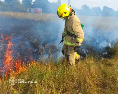 На Житомирщині за добу рятувальники дев’ять разів гасили сухостій