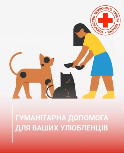 У Радомишлі ВПО зможуть отримати допомогу для домашніх тварин від Червоного Хреста