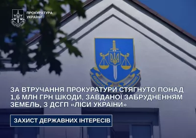 На Радомишльщині «Ліси України» сплатили 1,6 млн грн за засмічення лісу тирсою