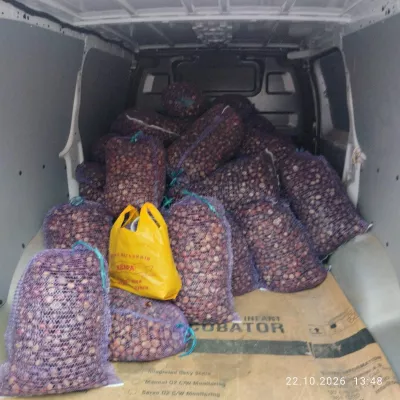 Малинський ліцей №2 зібрав понад 700 кг каштанів на детектори дронів для ЗСУ