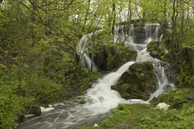 Троянівський водоспад: вода спадає кам’янистими уступами серед зелені