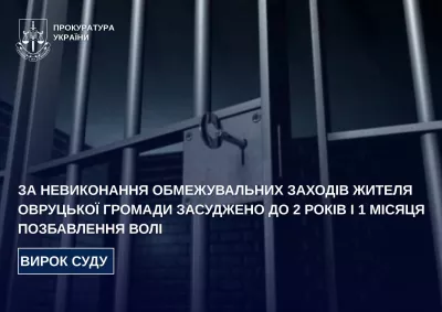 Ухилився від обмежувальних заходів за домашнє насильство: жителя Овруччини засудили до 2 років 