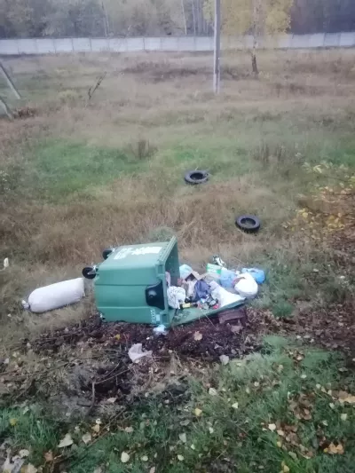 Замість чистоти — стихійне сміттєзвалище: у Малині контейнери знову на землі 