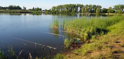 Рибальські вудки на березі Гадзинського ставка, за водою — хати села
