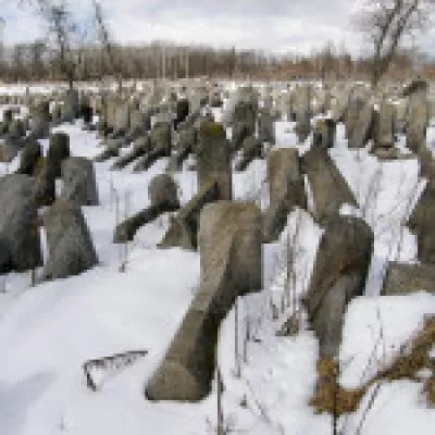 історія, Бердичів, населення