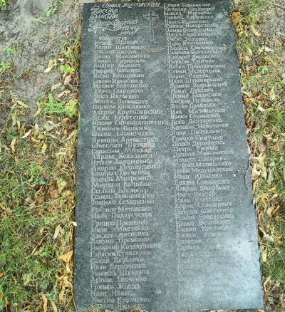 Козацькі імена Ворсівської сотні: унікальна знахідка на Житомирщині