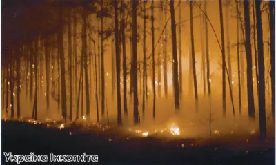 Поліський заповідник. Лісові пожежі
