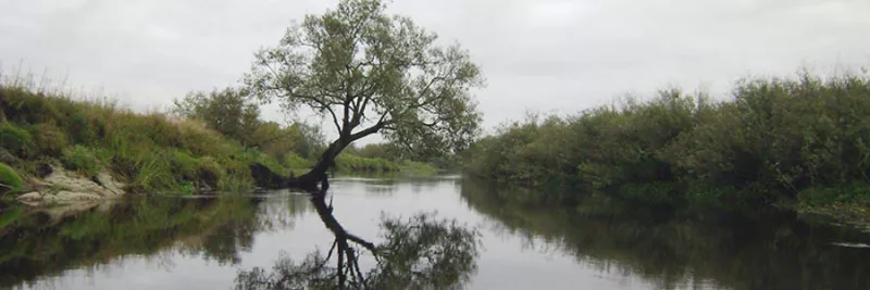 Риболовля на річці Прип’ять: детальний гід для рибалок