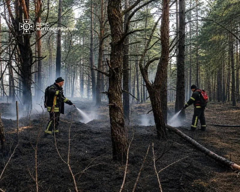 У заповіднику «Древлянський» на Житомирщині ліквідували пожежу після падіння уламків російського БПЛА