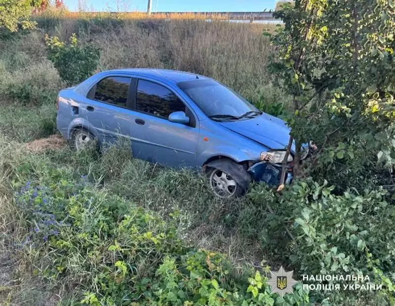 У Коростишеві п'яний чоловік викрав автомобіль і злетів у кювет