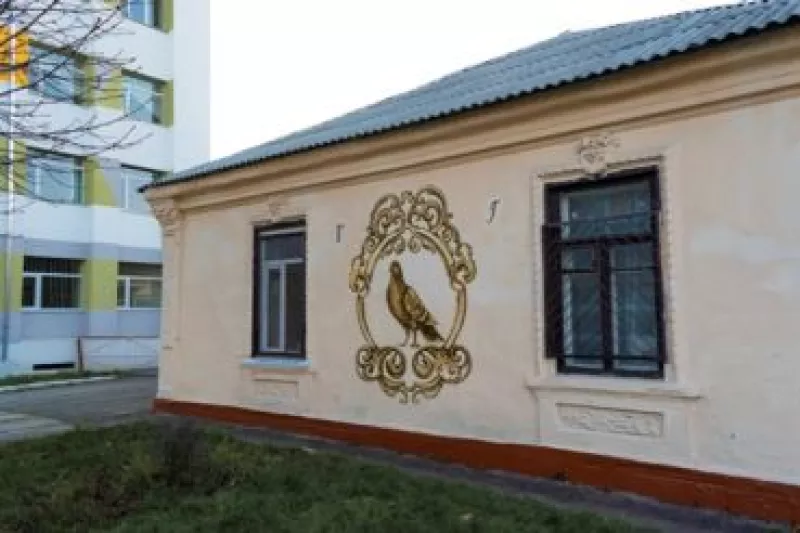 «Абетка Житомира»: як знайти всі літери на міських стінах