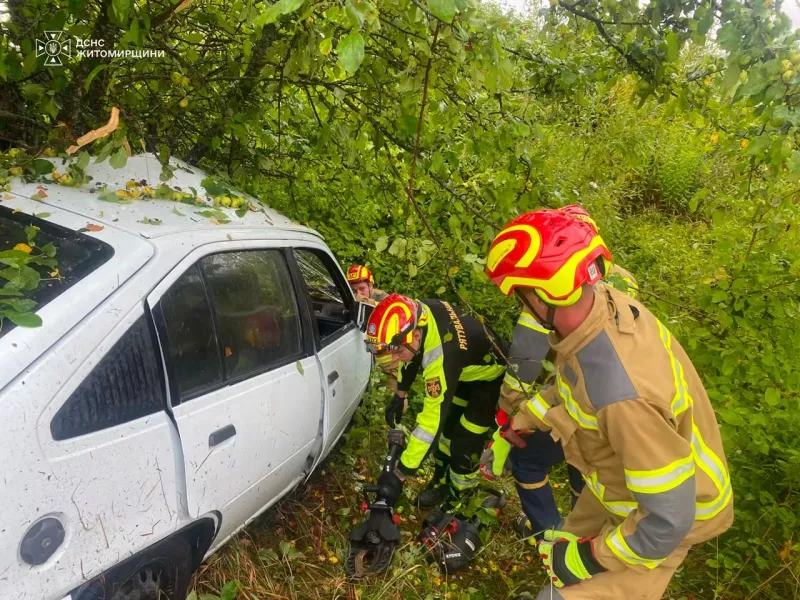 На Житомирщині із понівеченого авто вирізали загиблу водійку