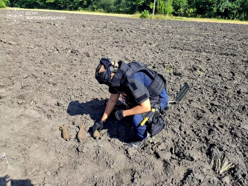 Під Бердичевом знайшли три міни часів Другої світової війни