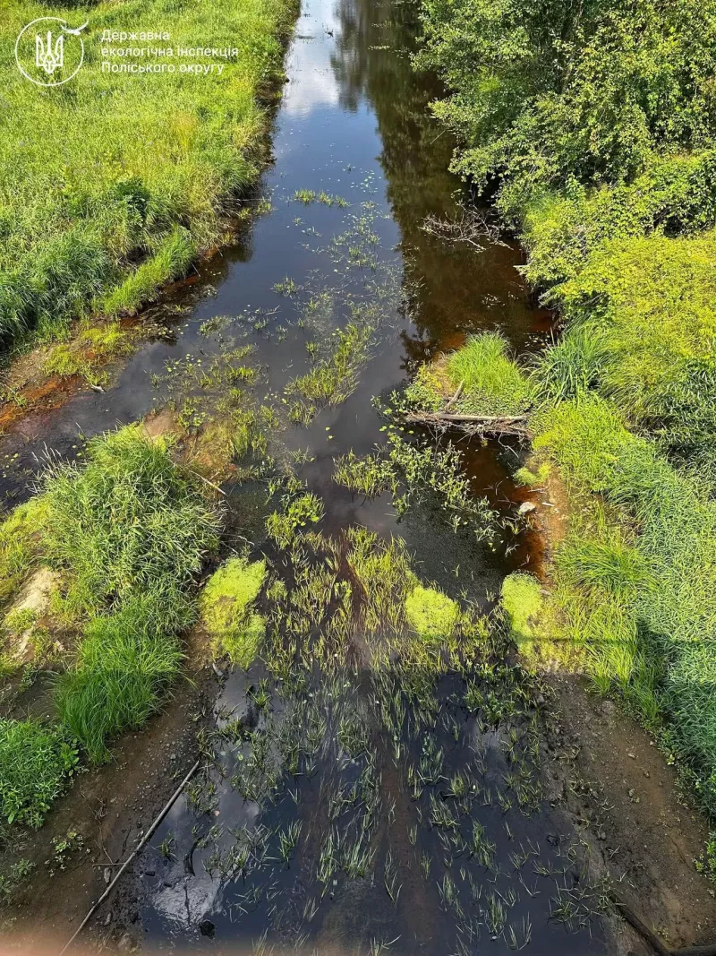 Річка Уборть на Житомирщині обміліла: екологи перевірили стан води та Лопатицьку ГЕС