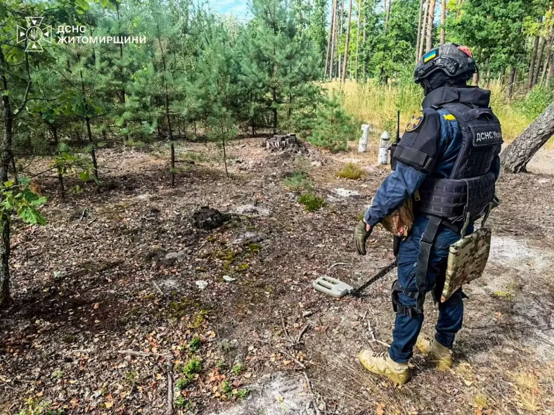 На Радомишльщині у лісі знайшли артилерійський снаряд часів Другої світової війни