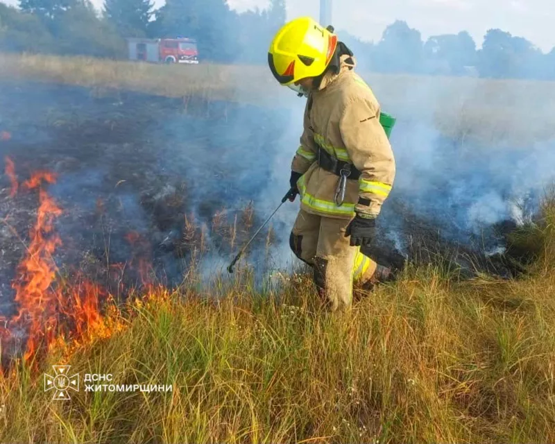 На Житомирщині за добу рятувальники дев’ять разів гасили сухостій