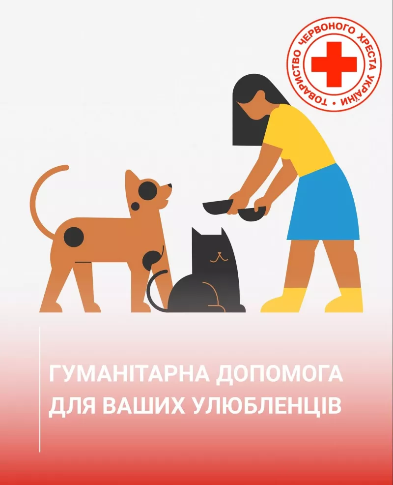 У Радомишлі ВПО зможуть отримати допомогу для домашніх тварин від Червоного Хреста
