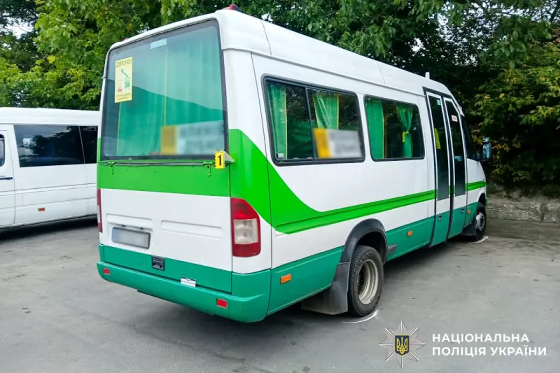У Дубні маршрутка наїхала на 66-річну пішохідку
