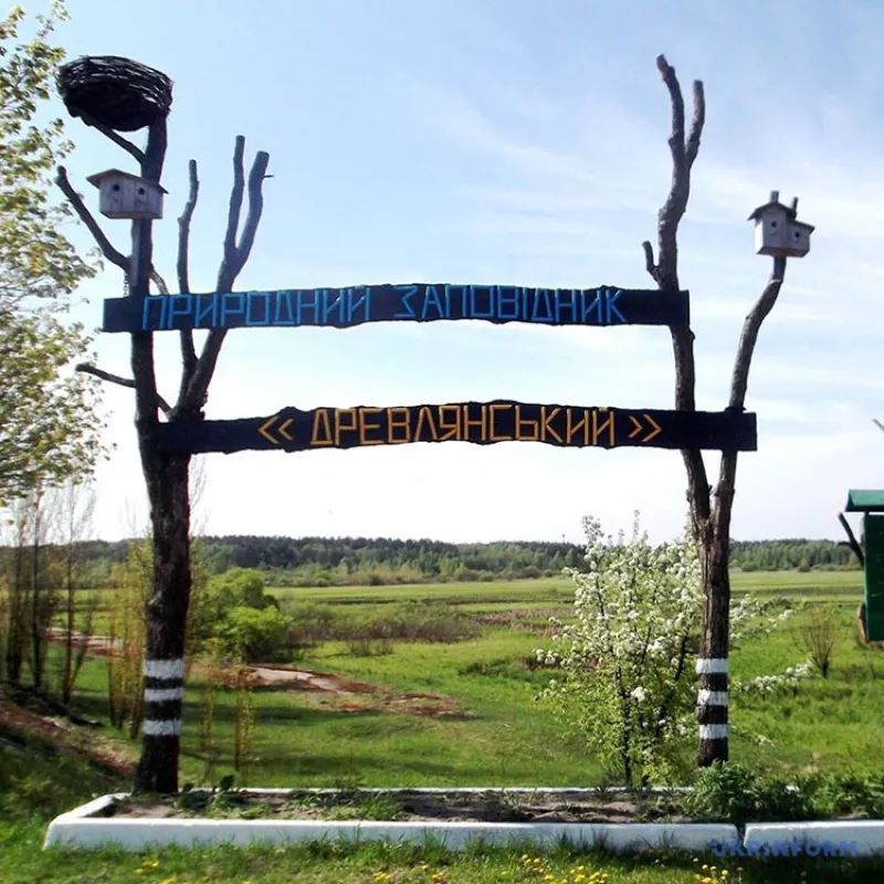 Природний заповідник «Древлянський»