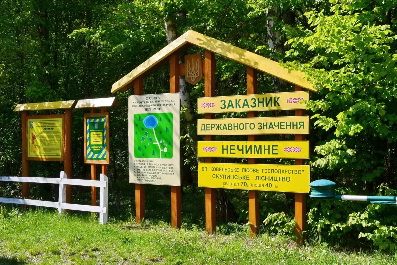 Стежка в урочищі Нечимне