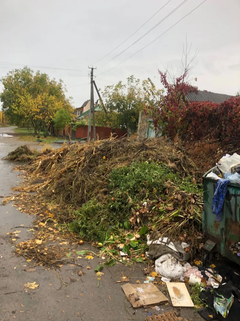 У Радомишлі на вулиці Шевченка скаржаться на купу сміття