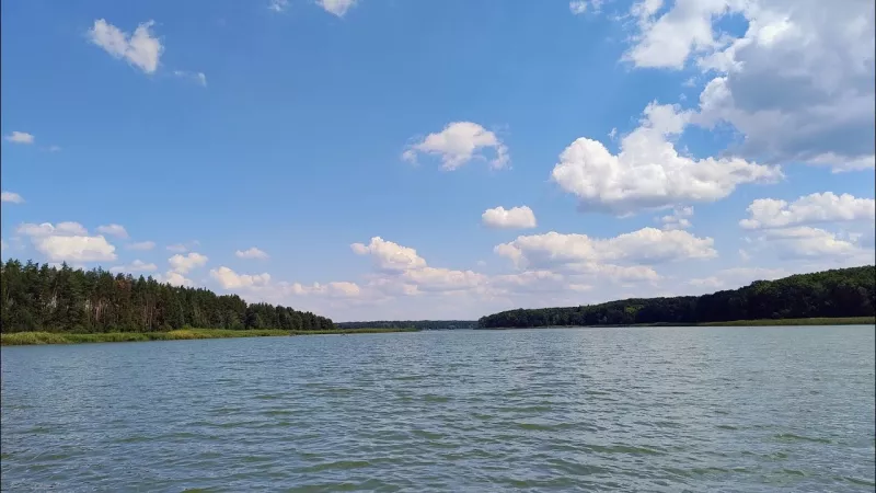 Корнинське водосховище серед лісу влітку