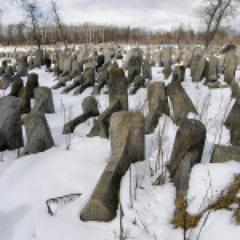 історія, Бердичів, населення