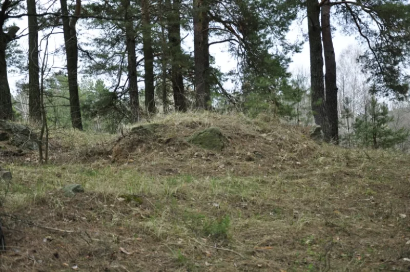 Кургани ятвягів в Ходурках: археологічні знахідки на Житомирщині